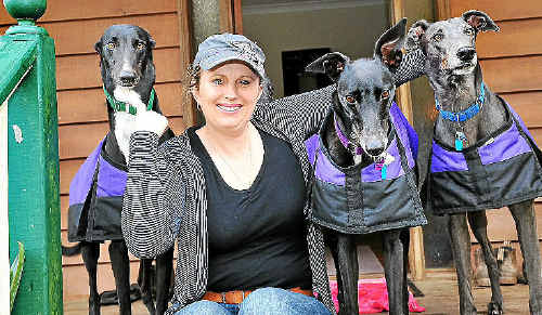 Katrina Koutsellis with greyhounds Sam, Tazzie and Rolf. Katrina Koutsellis with greyhounds Sam, Tazzie and Rolf.